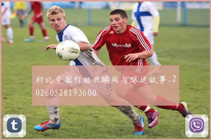科比中国行经典瞬间与球迷故事_20260528193600